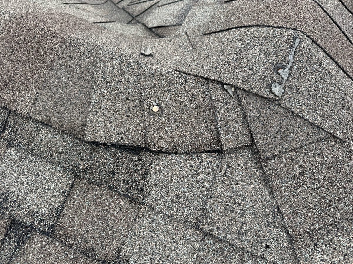 Lifted shingles and exposed nail heads on an asphalt roof found during a home inspection in Belton, MO