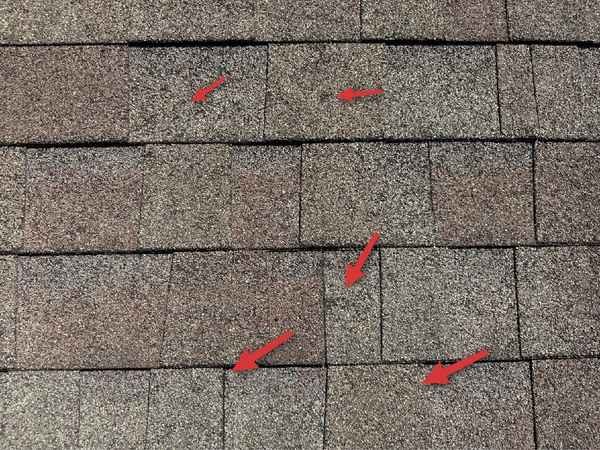 Hail impact bruises on asphalt shingles found during a home inspection in Blue Springs, MO