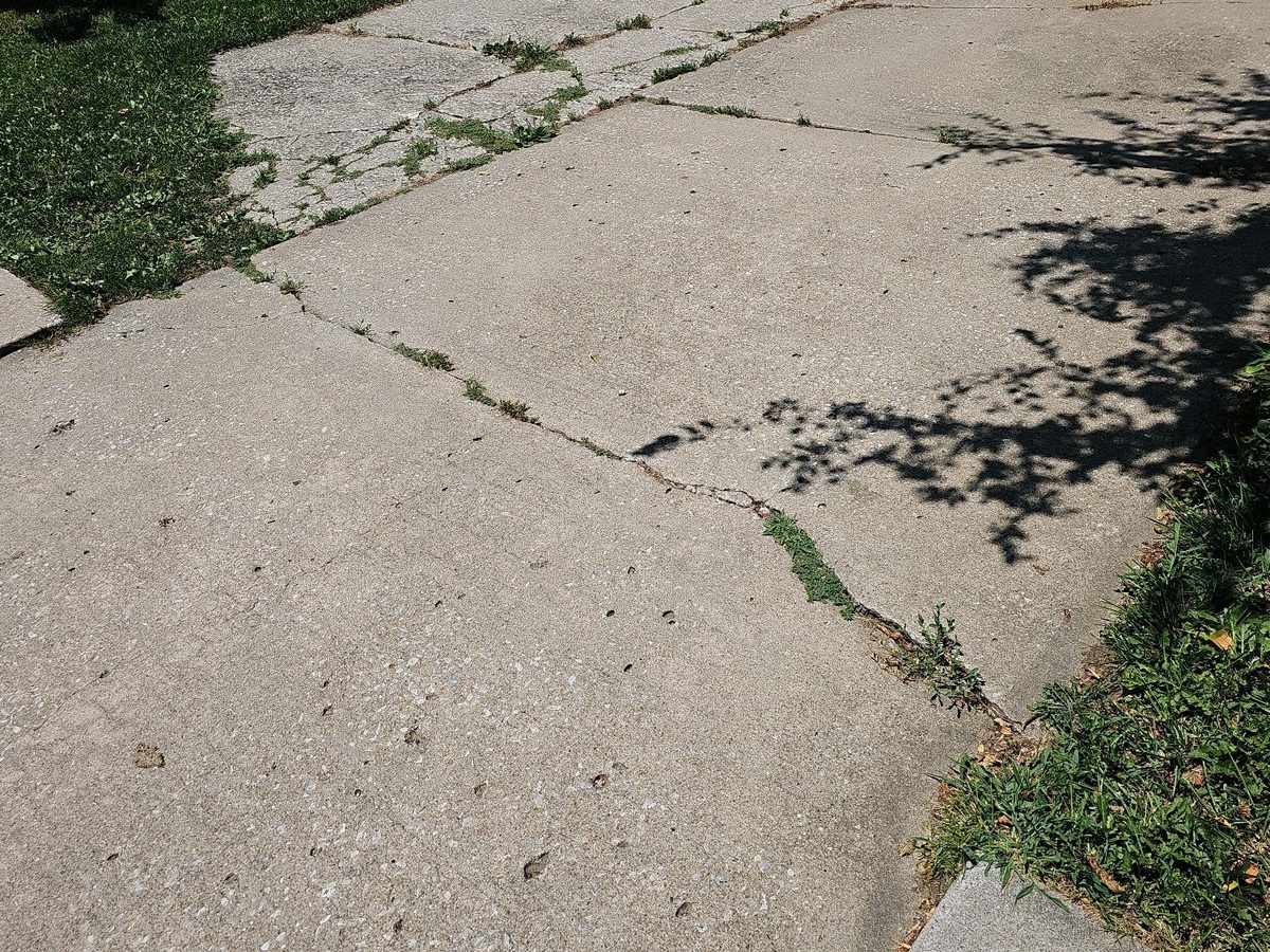 Cracked and settled concrete sidewalk slabs with weeds in the cracks found during a home inspection in Liberty, MO