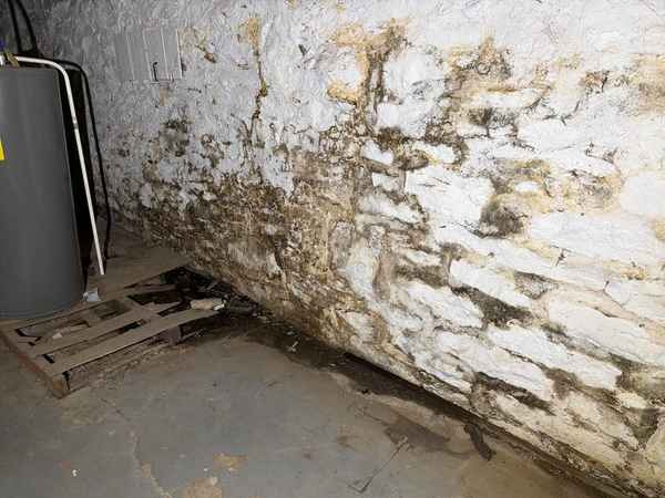 Active moisture on a basement wall found during a multi-family inspection in the Kansas City area