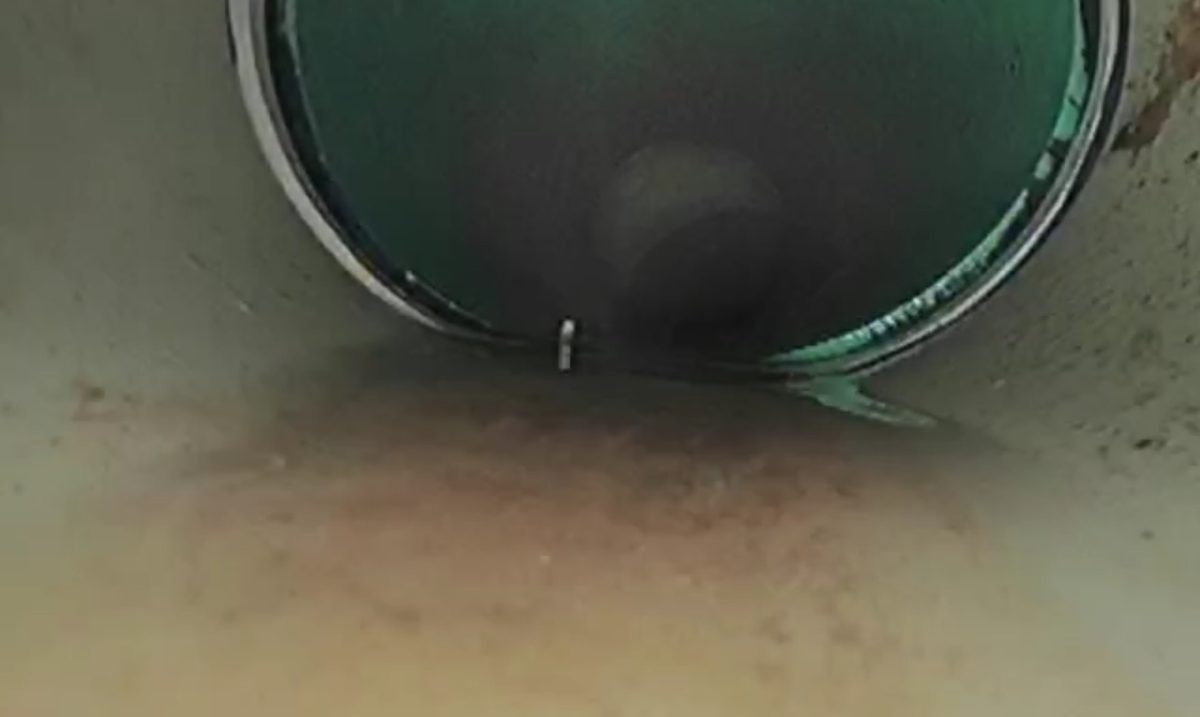 Clean PVC sewer line with a tight joint seen during a sewer scope in Belton, MO