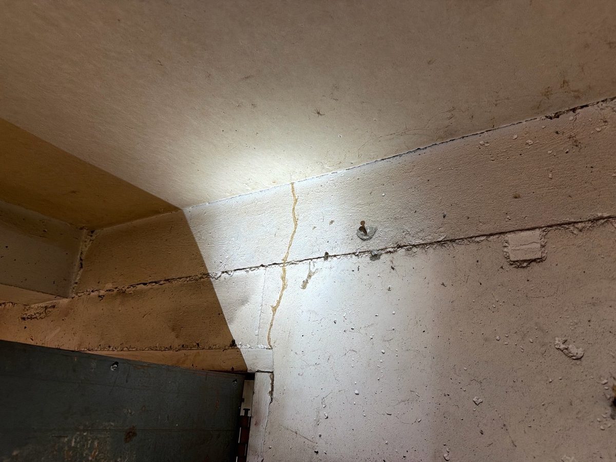 Termite mud tube on a concrete basement foundation wall found during a home inspection in Belton, MO
