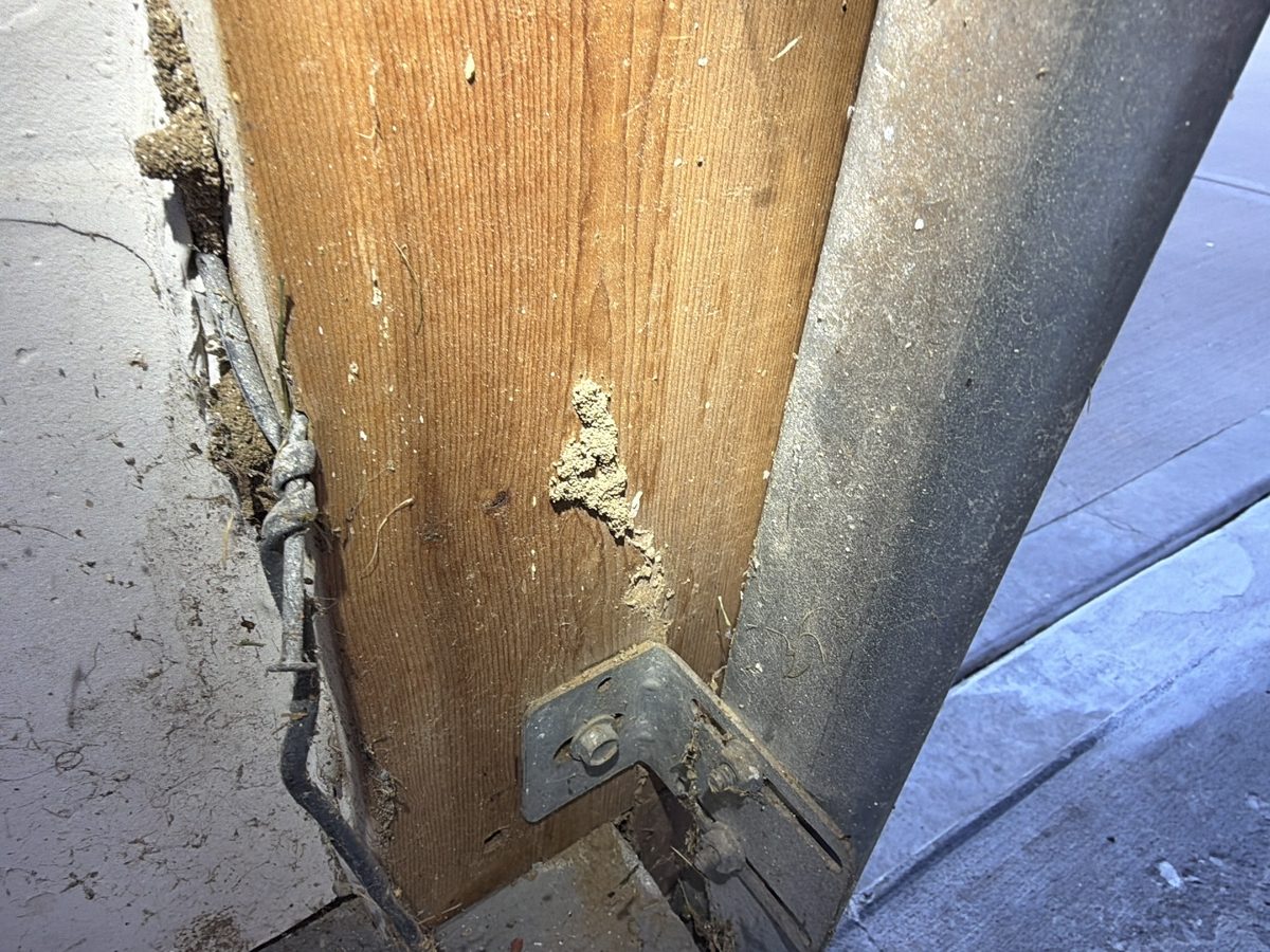 Termite mud tubes on a wood garage door jamb found during a home inspection in Blue Springs, MO
