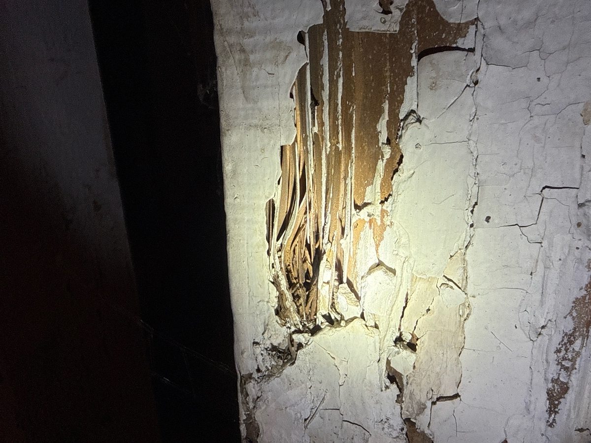 Termite damage on painted wood framing found during a home inspection in Kansas City, MO